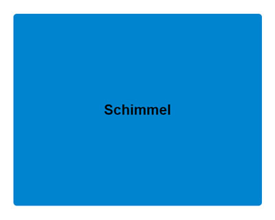 Schimmelgutachter 